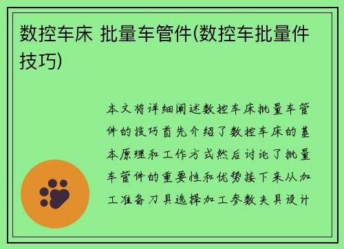 数控车床 批量车管件(数控车批量件技巧)